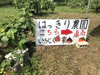農園