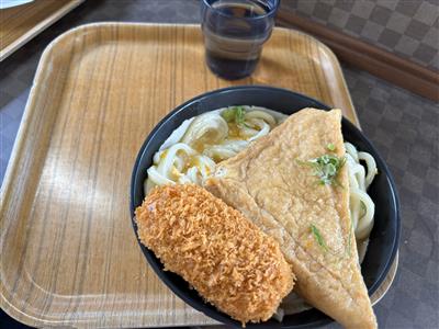 釜上げ玉子山かけうどん（大）