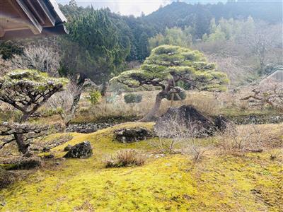 お庭