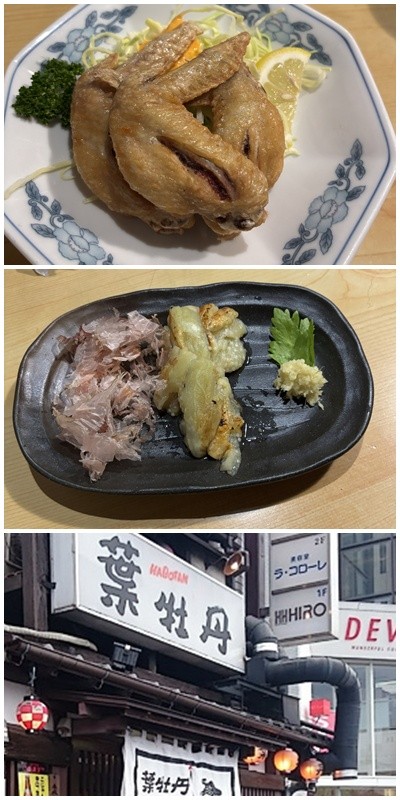 手羽、焼きナス
