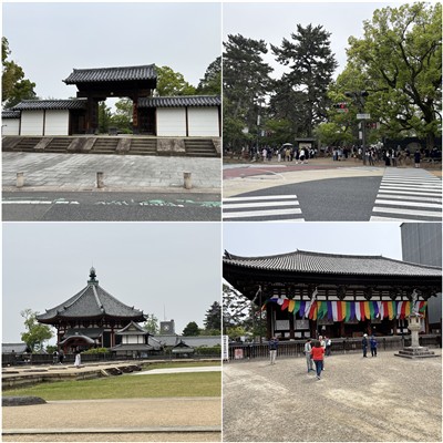 大安寺、奈良公園、興福寺