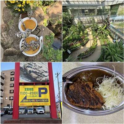 チャンピオンカレー